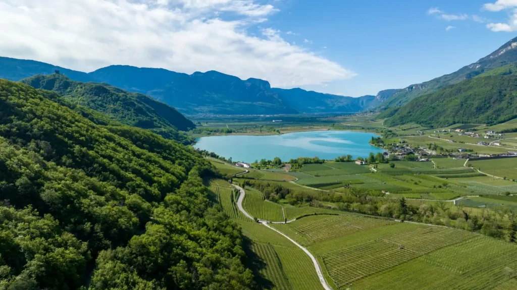 aerial view of green fields